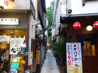 Taishuu Bisutoro Urakingyo - この路地の奥の奥にお店があります。