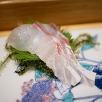 Sushi Kitashinchi Kigura - 