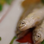 徳山鮓 - 稚鮎（ちあゆ）酢物（すのもの）　【擴大圖（かくだいづ）】