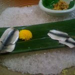 友食人酒 - シンコいただきました