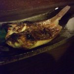 源氏 - ノドクロ焼き