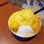 Sign - アイスモンスターのマンゴーかき氷
                        台北で食べたのとではマンゴーが全く違ったけど、まぁ、東京ではマンゴー高いしね(笑)。これはこれで美味しかった♪