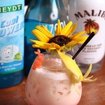 ハイドアウト - 