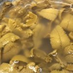 シーサイド　うわかい - 