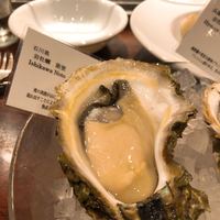 BELON 渋谷店 - 