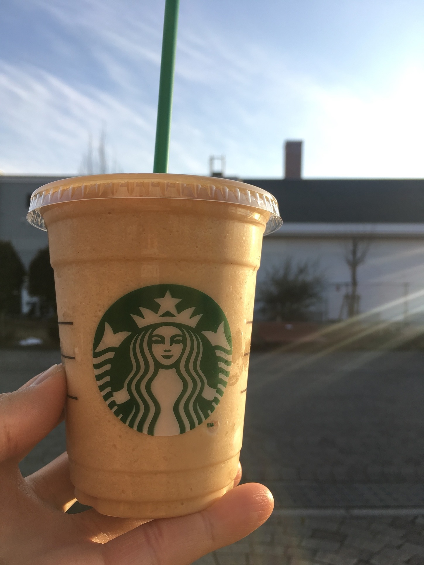スターバックス・コーヒー 佐野プレミアム・アウトレット プレイグラウンド店 name=