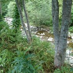 時香忘 - お店の近くに流れる川