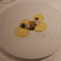 ジョンティ アッシュ - イカ毛蟹のとうもろこしソース