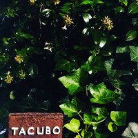 TACUBO - 