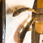 石臼挽き手打 蕎楽亭 - 