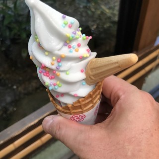 咲くやこの花 高山 たい焼き 大判焼き 食べログ