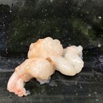 鮨おばな - ボタン海老