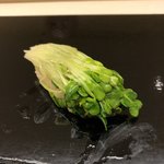 鮨おばな - カイワレ