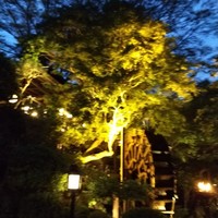 黒茶屋 - 