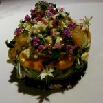 トランスパランス