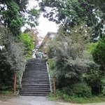 野の実 - お店は傾斜地の上の台地です！