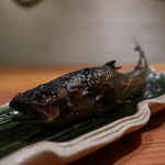 日本料理 幸庵 - 岐阜の鮎の塩焼き