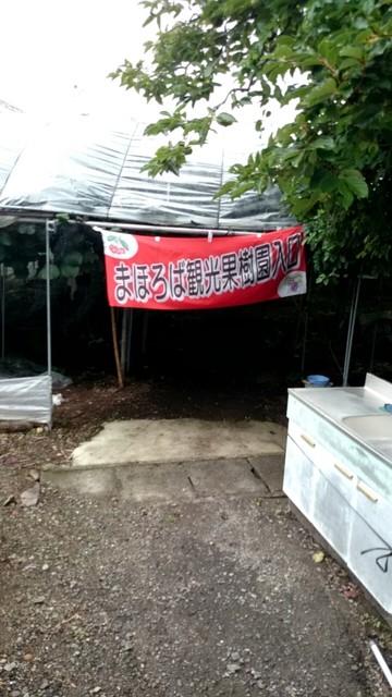 まほろば観光果樹園 - 高畠町その他（スイーツ）の写真