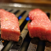 NO MEAT, NO LIFE.2nd - 