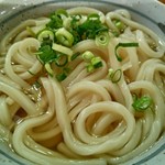 こんぴらうどん - 