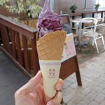 観光農園ブルーベリーの村　 - 