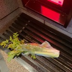 ラーメン 厚木家 - 帰りに いただいた セロリです♪(*≧∀≦*)