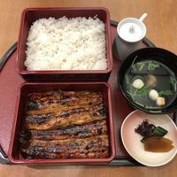 うなぎ 仲じま - うな重 特上