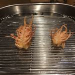 てんぷら 深町 - 車海老 頭