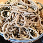 福徳屋 - 2018.8.3  太麺の蕎麦☆