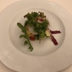 RISTORANTE CANOVIANO - 水蛸と帆立のカルパッチョ 季節野菜のサラダ仕立て