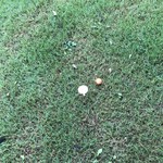 Karuizawa 72 Golf Nishi Ko-Su