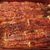鰻割烹 伊豆栄 本店 - うな重「竹」