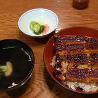 吉寅 - 鰻丼