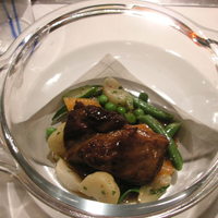 Benoit Alain Ducasse - 