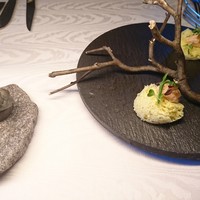 ヒカリヤ ニシ - 