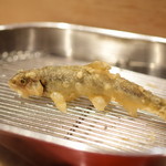 てんぷら 深町 - 鮎