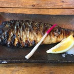 だいだいや - 鯖塩焼き
      脂かのってて美味かった。