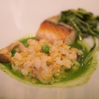 Wattle Tokyo - 15