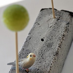 プレゼンテ スギ - 香りのアイスキャンディー