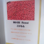 ジェラテリア・イル・ブリガンテ - 