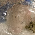 うを徳 - 銚子産真子鰈と利尻産赤海胆