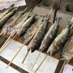 岩魚の里 永源寺グリーンランド - 