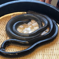入谷鬼子母神門前のだや - 割く前の鰻をお披露目
