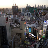 日本料理 旬彩 - 