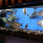 海賓亭 八重洲店 - 