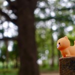 中華蕎麦 とみ田 - 松戸中央公園