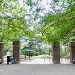 中華蕎麦 とみ田 - 公園入り口