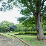 中華蕎麦 とみ田 - カラス