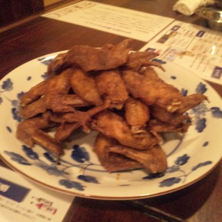 きんしゃち酒場_0