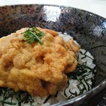 はまなす亭 - 特うに丼